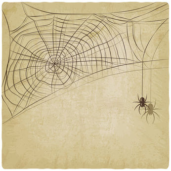Vintage background with spider web